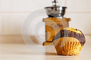 Cupcake with chocolate dousing