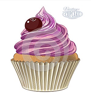 Cupcake in engraving style