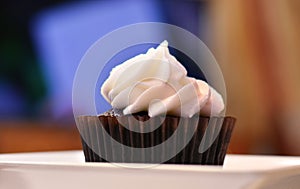 Cupcake front view with color background