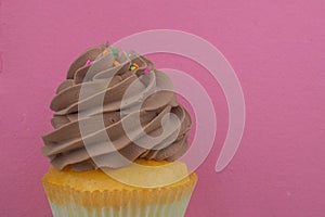 Cupcake with frosting