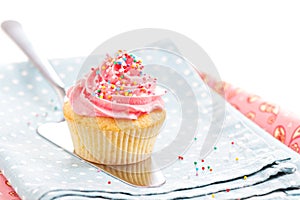 Cupcake with frosting and sprinkles