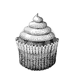 Cupcake illustration old lithography style hand drawn