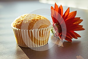 Cupcake and red flower on the table