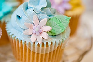 Cupcake selection in pastel colors