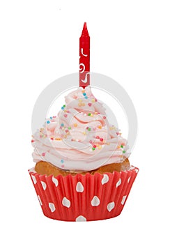 Cupcake on white background