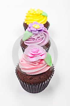 Cupcakes With Colorful Icing or Frosting