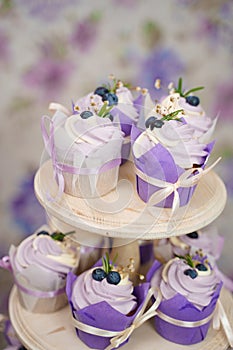 Cupcakes with cream in a paper tulip form, decorated with blueberries, rosemary, flowers, tied with a ribbon. Vanilla