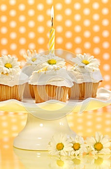 Cupcakes decorated with icing and little daisies