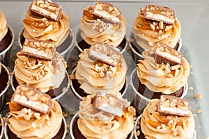 Cupcakes with peanut butter cream cheese frosting, chocolate bites, salted caramel and chopped nuts. Plain background