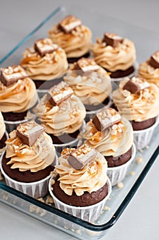 Cupcakes with peanut butter cream cheese frosting, chocolate bites, salted caramel and chopped nuts. Plain background