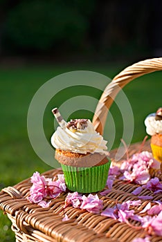 Cupcakes picnic