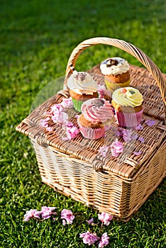 Cupcakes picnic