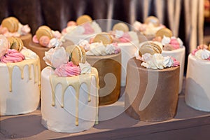 Cupcakes served in a pastry shop