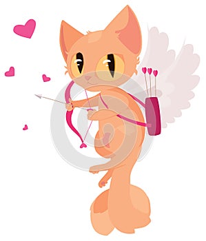 Cupid cat