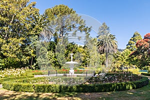 Cupid fountain with rose garden in Queen`s Garden in Nelson town, New Zealand