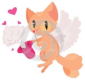 Cupid wizard cat