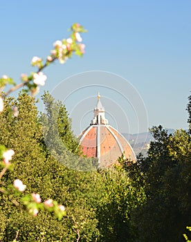The cupola of the Duomo, Florence, seen above a copse of trees