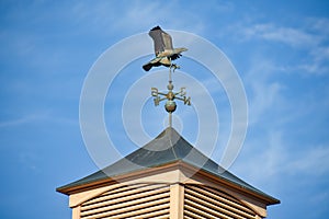 Cupola with a Hawk Weathervane