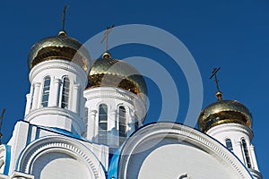 Cupolas of the cathedral of Astana city, Astana, Kazakhstan.