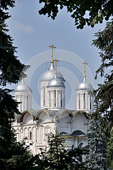Cupolas of Twelve Apostles` Church framed with trees Moscow Kremlin - Domes of Russian Orthodox Churches