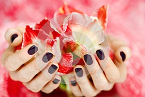 Cupped hands with dark manicure holding red flowers