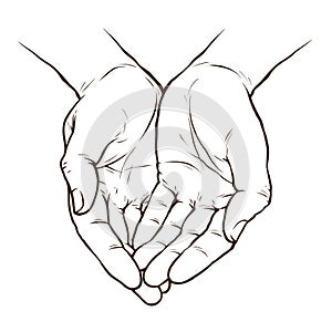 Cupped hands, folded arms sketch. Hand drawn vector illustration