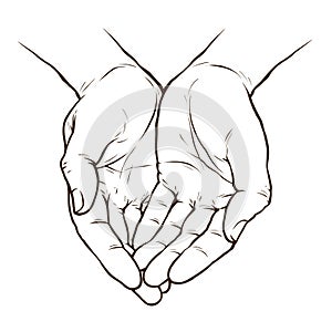 Cupped hands, folded arms sketch. Hand drawn vector illustration photo