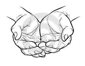 Cupped hands, folded arms sketch. Vintage vector illustration