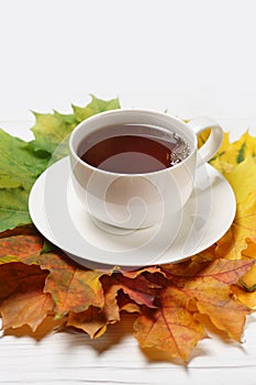 Cups of tee and autumn fall leaves on white wood