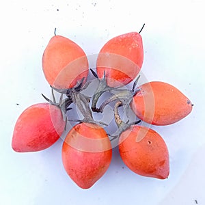 Cupula fruit. photo