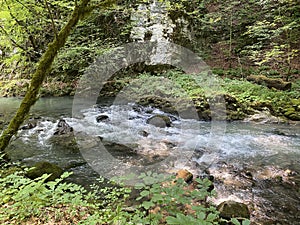 Curak stream near the Zeleni vir picnic area in Gorski kotar - Vrbovsko, Croatia / Potok Curak kod izletiÅ¡ta Zeleni vir