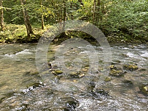 Curak stream near the Zeleni vir picnic area in Gorski kotar - Vrbovsko, Croatia / Potok Curak kod izletiÅ¡ta Zeleni vir