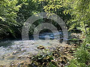 Curak stream near the Zeleni vir picnic area in Gorski kotar - Vrbovsko, Croatia / Potok Curak kod izletiÅ¡ta Zeleni vir