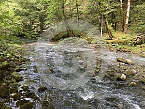 Curak stream near the Zeleni vir picnic area in Gorski kotar - Vrbovsko, Croatia / Potok Curak kod izletiÅ¡ta Zeleni vir