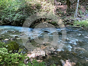 Curak stream near the Zeleni vir picnic area in Gorski kotar - Vrbovsko, Croatia / Potok Curak kod izletiÅ¡ta Zeleni vir