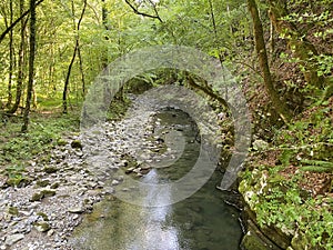 Curak stream near the Zeleni vir picnic area in Gorski kotar - Vrbovsko, Croatia / Potok Curak kod izletiÅ¡ta Zeleni vir