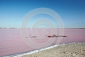 Curative pink mud lake on a sunny day