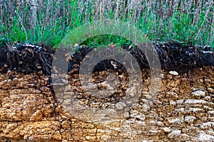 The curb erosion from storms. To indicate the layers of soil and rock. Nature cross section soil underground with green grass,