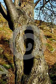 Curbar Edge, Peak District, Derbyshire,