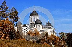 Curchi monastery among autumn trees photo