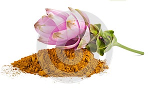 Curcuma