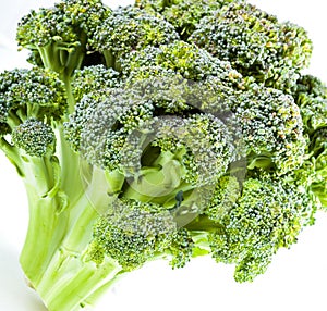 Curd. Broccoli closeup