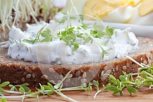 Curd cheese with cress on bread