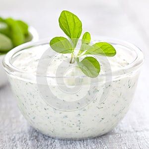 Curd with herbs