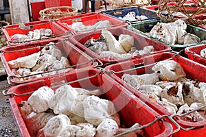 Curd rubbers in plastic containers
