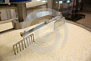 Curd and whey in tank at cheese factory, closeup