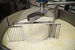 Curd and whey in tank at cheese factory, top view. Cheese making as a business