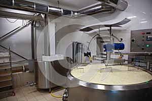 Curd and whey in tank at factory