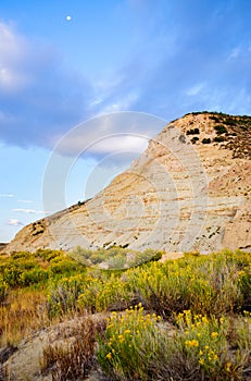 Curecanti National Recreation Area