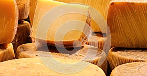 Cured cheese called Pecorino in Italian Language made with milk